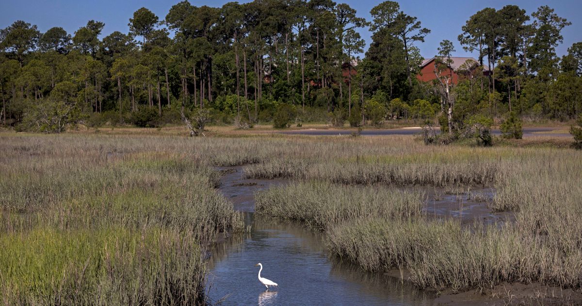 Parris Island wages battles, not war, against climate change - The Seattle Times