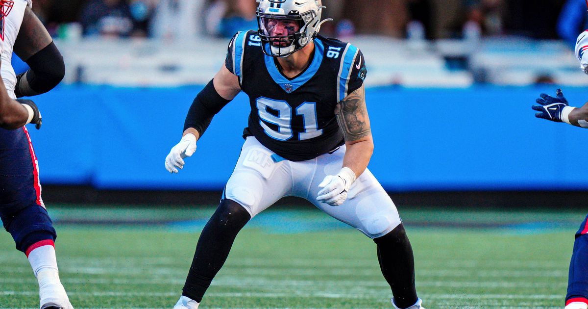 Panthers defensive lineman Morgan Fox took the hard route to NFL success -  Cat Scratch Reader