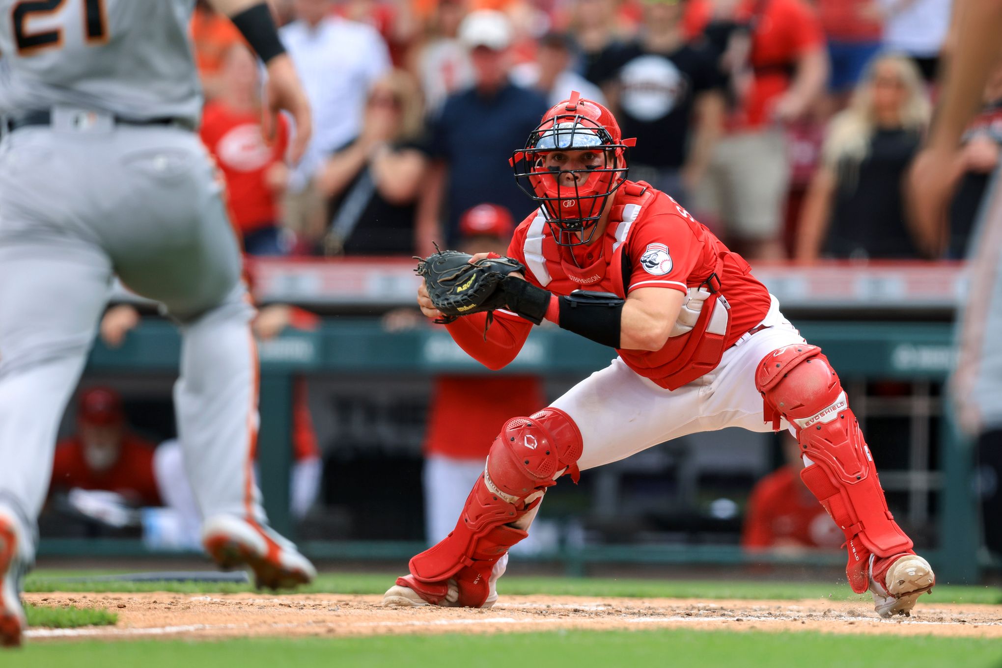 Tyler Stephenson excited for opportunity to start with Cincinnati Reds