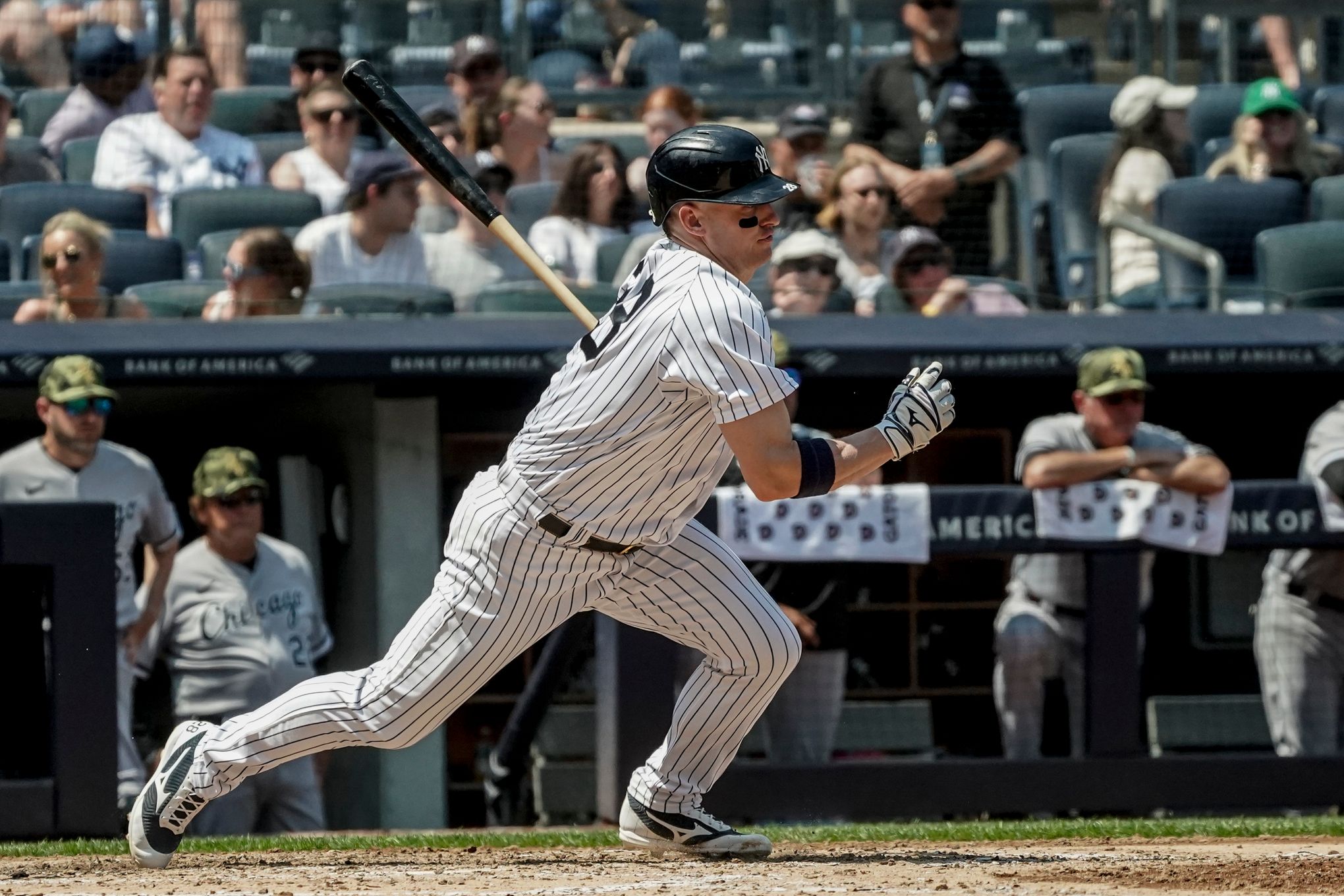 The Yankee Way, Josh Donaldson Apologizes To Tim Anderson, Jackie  Robinson's Family