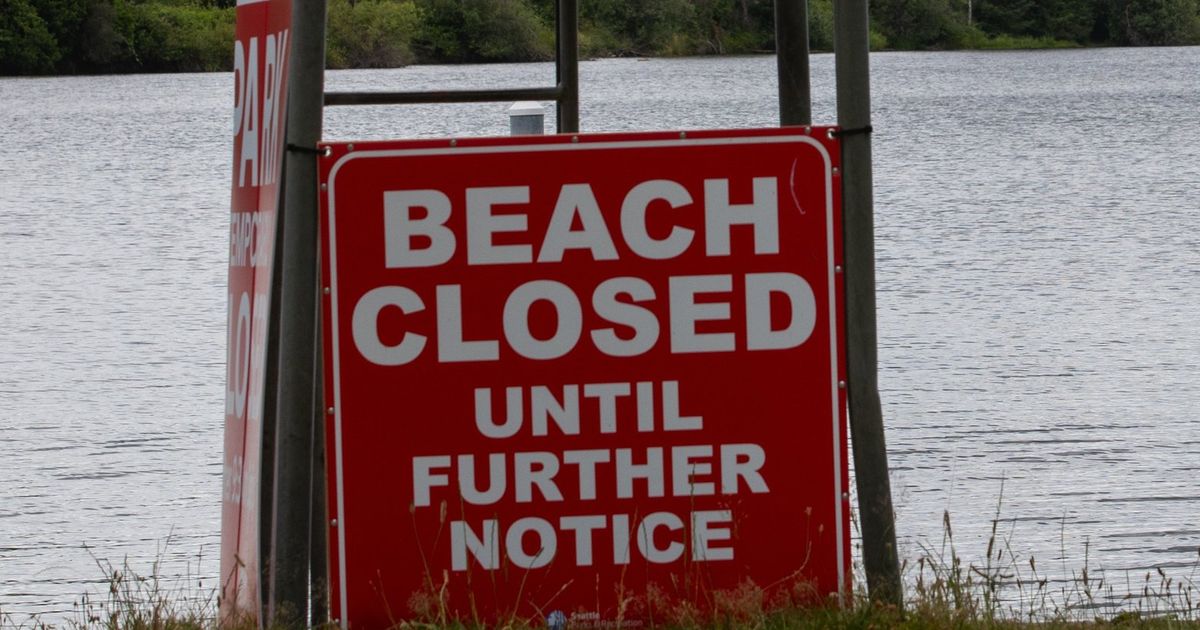 Lifeguard Shortage Closes 3 Seattle Beaches For The Summer 6 Will Be Open The Seattle Times