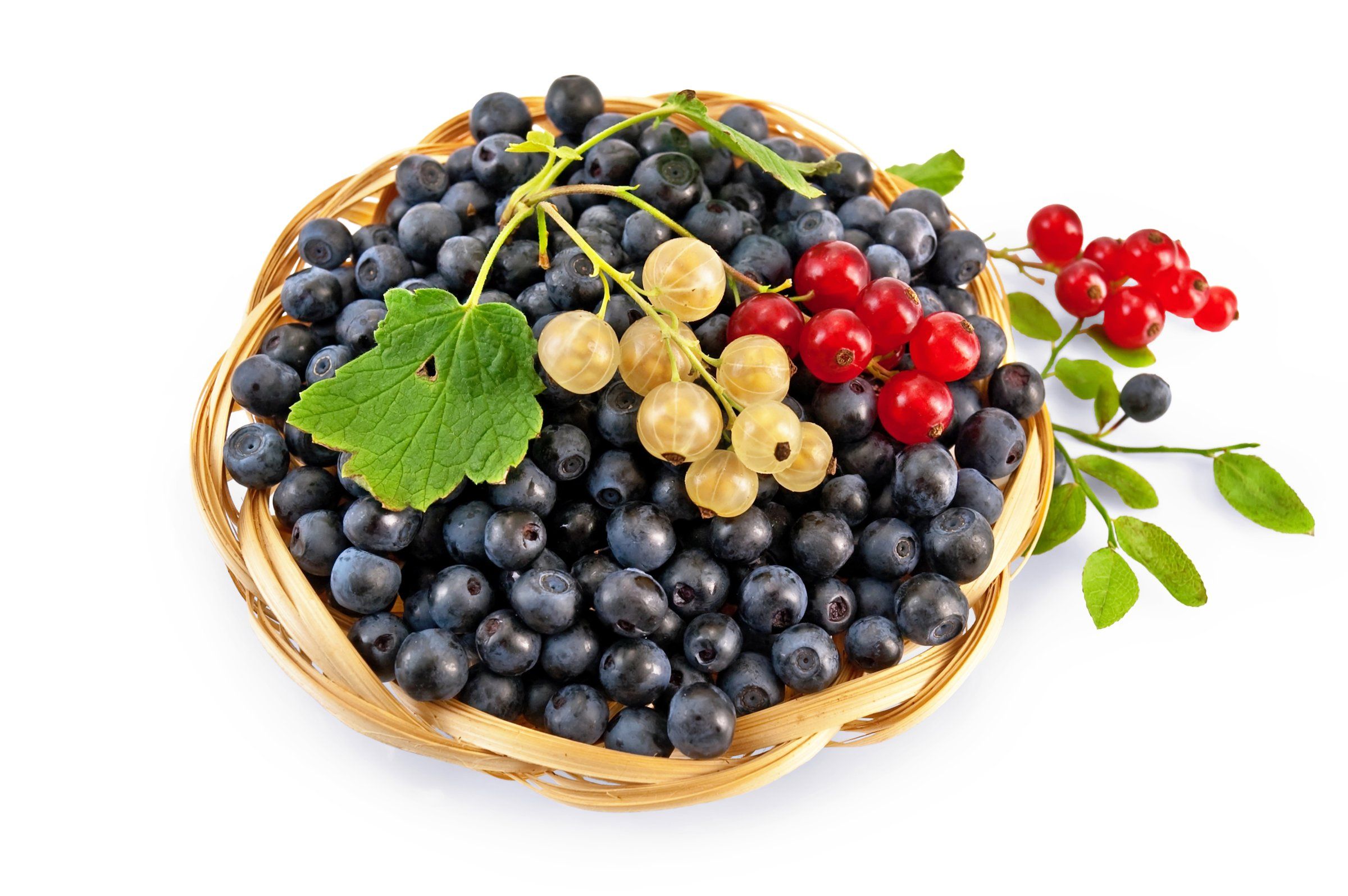 Tart currants' fanbase is growing along with their versatility and