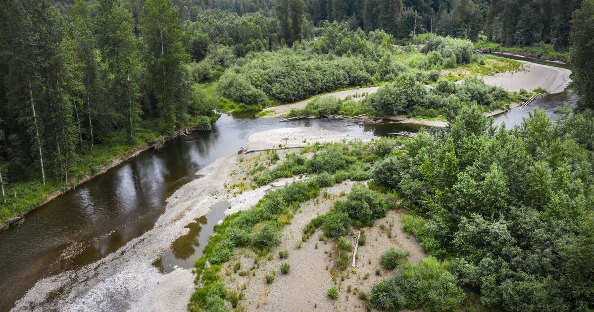 King County property tax hike for land conservation likely headed to voters after committee