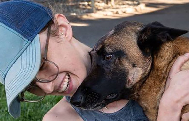Erin Wilson hugs her young Belgian Malinois named Eva, who was injured from fighting a mountain lion in rural Trinity County, after the dog was released to go home last month after being cared for at the VCA Asher animal hospital in Redding, California. Wilson said Eva saved her life after a mountain lion clawed her shoulder while they were walking along the Trinity River on Monday. Eva died suddenly this week. (Xavier MascareÃ±as/The Sacramento Bee/TNS) 50109504W 50109504W