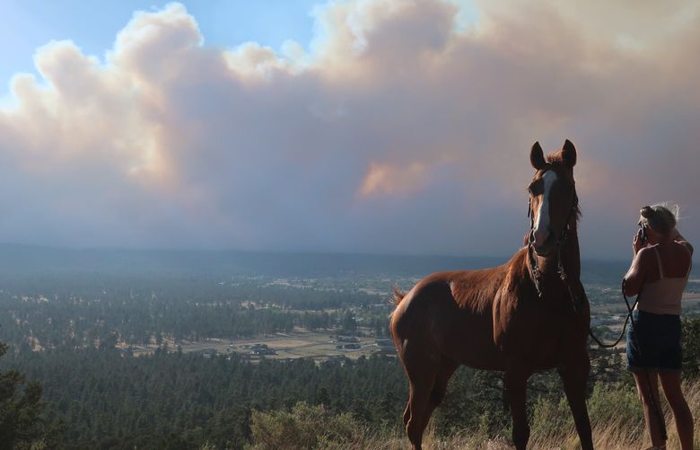 Janetta Kathleen and her horse, Squish, watch as smoke rises above neighborhoods on the outskirts of Flagstaff, Ariz., Sunday, June 12, casts a glow above neighborhoods. Evacuations have been ordered for homes in the area. Authorities say firefighters are responding to the wildfire about six miles north of Flagstaff that has forced evacuations. (AP Photo/Felicia Fonseca) RPFF705 RPFF705