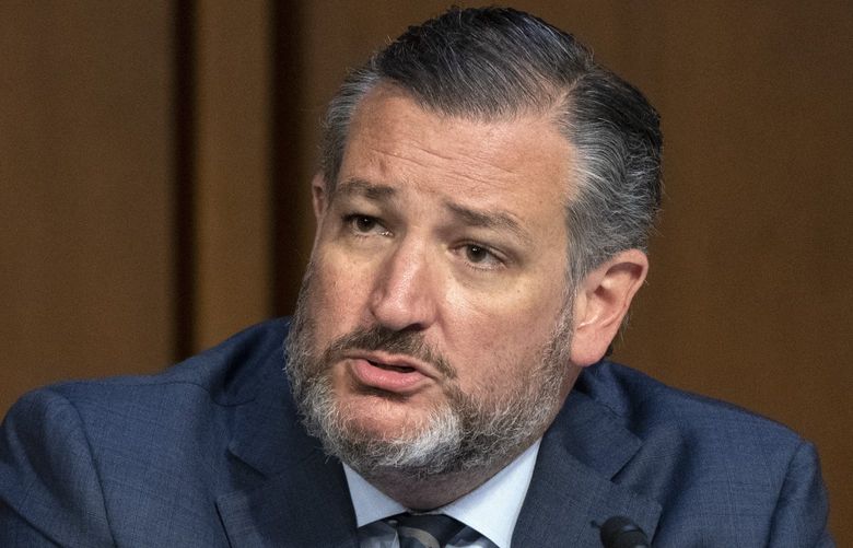 Sen. Ted Cruz, R-Texas, speaks at a Senate Judiciary Committee hearing on domestic terrorism, Tuesday, June 7, 2022, on Capitol Hill in Washington. (AP Photo/Jacquelyn Martin) DCJM116 DCJM116