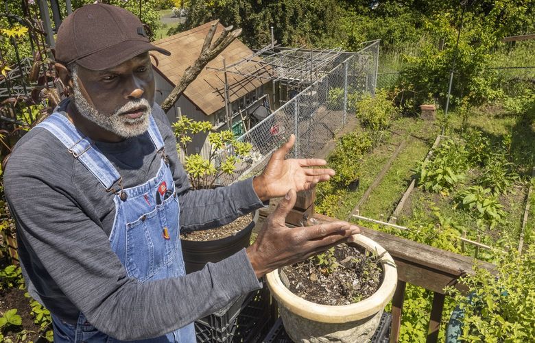 Charles Wright stands on the deck at his Seattle home, with a view of his garden below. He grows produce in his yard and gives it away to people who need to feed their families. Shot Tuesday, May 31,2022. 220359