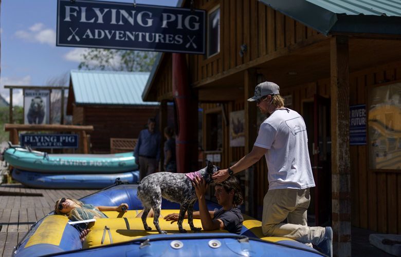 Patrick Sipp, co-owner of Flying Pig Adventures, pets his dog, Bonnie, as employees Jackson Muller, right, and Christie Davis sit in a raft while Yellowstone National Park is closed due to historic flooding in Gardiner, Mont., Wednesday, June 15, 2022. “We’re definitely a resilient company, we’ve got a very tough crew,” Sipp said. “But it’s devastating. You just hate seeing stuff like that in the community. We’re just hoping that we can get back out there relatively soon.” (AP Photo/David Goldman) MTDG102 MTDG102