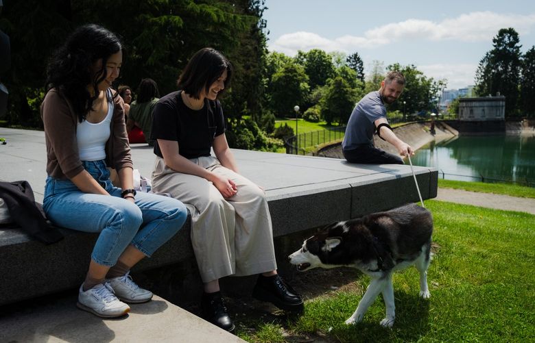Julianne Mendoza, left, 21, and Hannah Mills, center, 21, say hello to Sasha while Kolten Olsen, 39, hangs on to Sasha’s leash at Volunteer Park in Seattle on June 20, 2022.