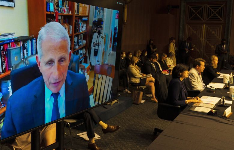 Dr. Anthony Fauci, Director of the National Institute of Allergy and Infectious Diseases, testifies virtually during a Senate Health, Education, Labor, and Pensions Committee hearing to examine an update on the ongoing Federal response to COVID-19, Thursday, June 16, 2022, on Capitol Hill in Washington. (AP Photo/Manuel Balce Ceneta) DCMC101 DCMC101