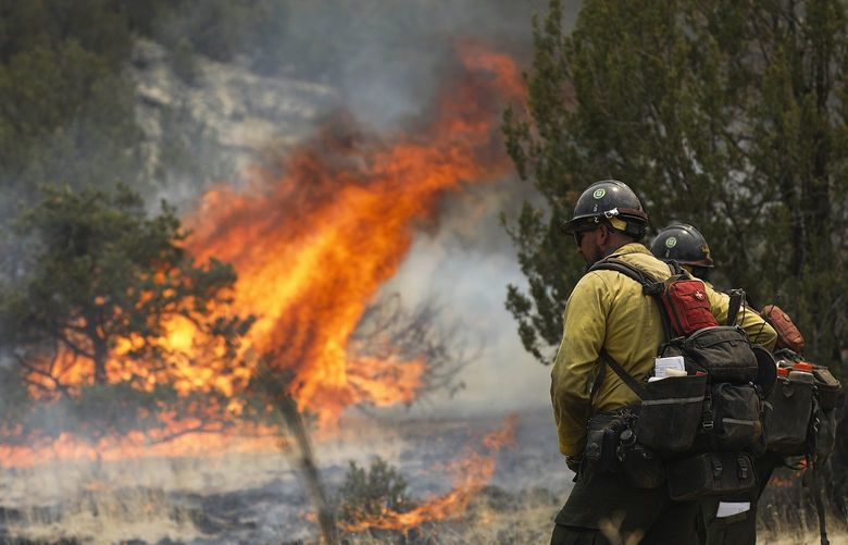 FILE – Hot shot crew members keep an eye on the blaze as fire crews ignite the underbrush off of Forest Road 545B in an effort to contain the Pipeline Fire near Flagstaff, Arizona on June 15, 2022. Firefighter groups are applauding steps taken by the Biden administration to temporarily raise wages for the men and women on the front lines of the nation’s largest wildfires. (Rachel Gibbons/Arizona Daily Sun via AP, File) AZFLA201 AZFLA201