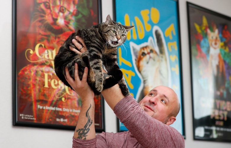 Home of Will Braden – CatVideoFest – 062022

Will Braden holds up his own cat Nin in front of a line of CatVideoFest movie posters at his home office Monday, June 20, 2022 in Seattle, Wash. Braden’s full time job is to watch cat videos, 10,000 hours of them a year, in order to curate them down into a 75 minute video called CatVideoFest. 220747
