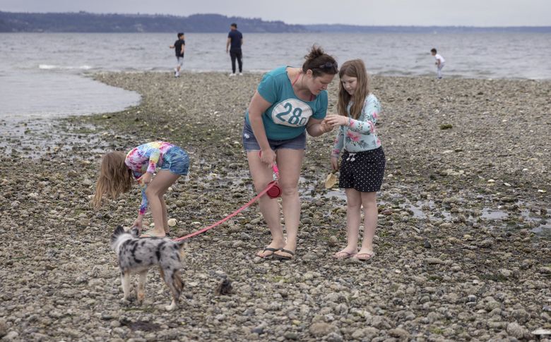 Are Dogs Allowed At Saltwater State Park