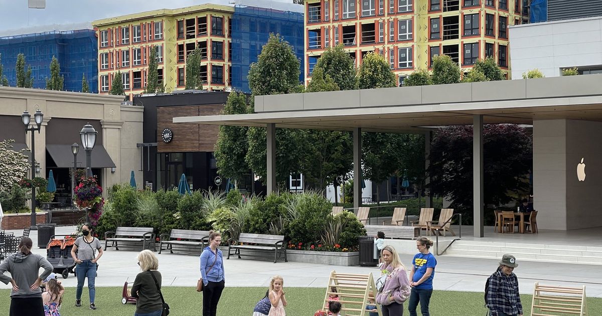 Housing growth round College Village: Will or not it’s an actual Seattle neighborhood?