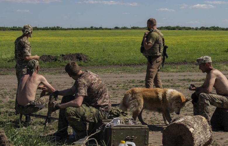 Ukrainian servicemen take a break after digging trenches near the frontline in Donetsk region, eastern Ukraine, Wednesday, June 8, 2022. (AP Photo/Bernat Armangue) BA103 BA103