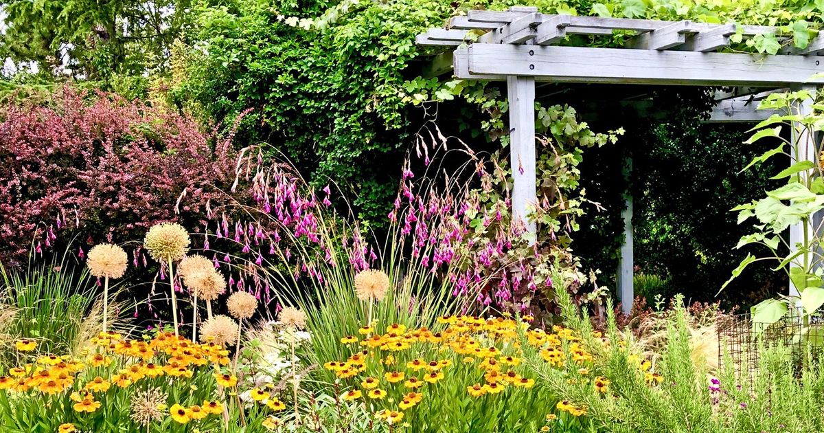 Bellevue’s Waterwise Garden is a living showcase of planting ideas to cope with climate change