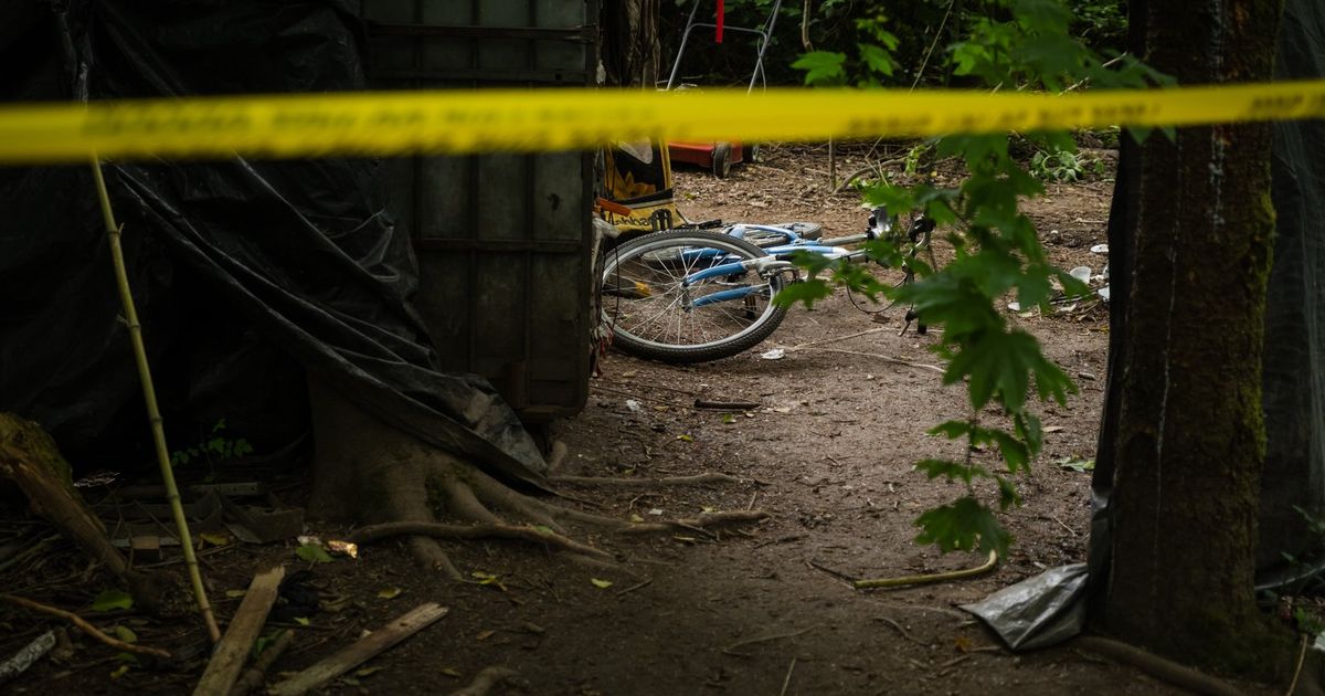 Shooting at West Seattle homeless encampment leaves one man dead | The ...