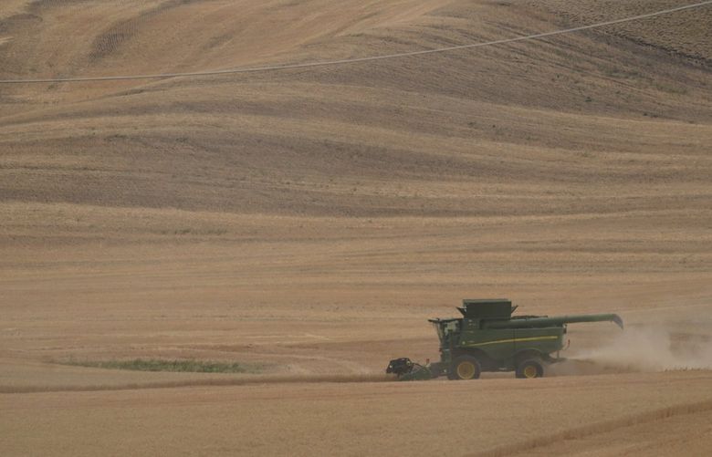 A combine harvests wheat, Thursday, Aug. 5, 2021, near Pullman, Wash. (AP Photo/Ted S. Warren)