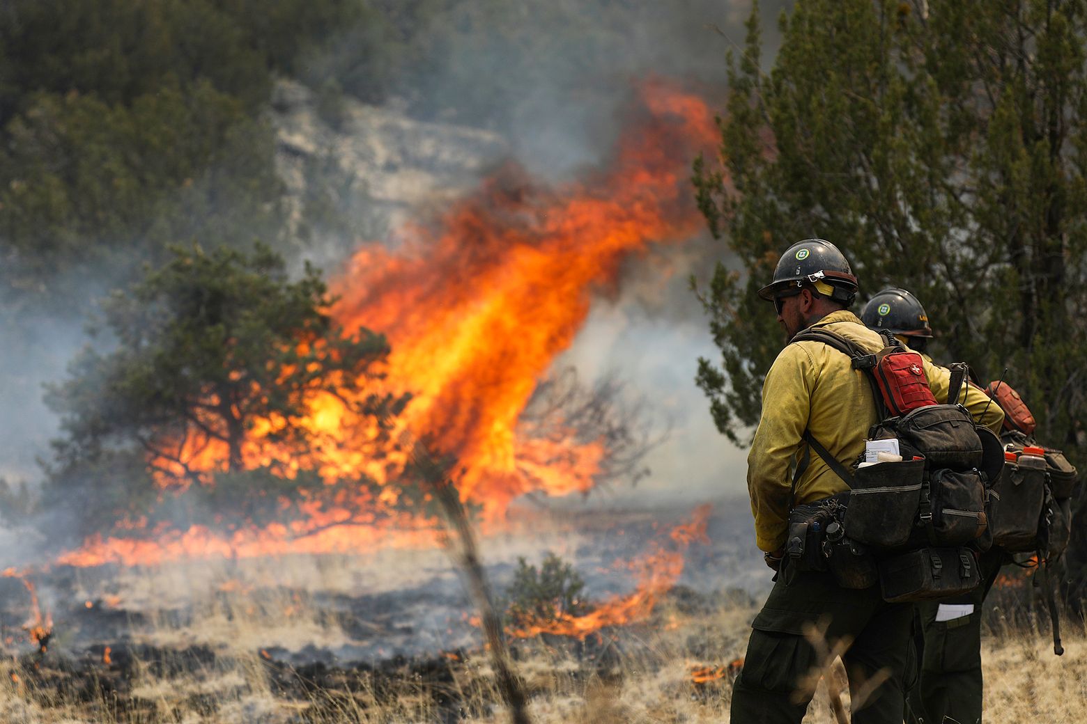 As fire season sets in, labor shortage compounds firefighter staffing woes  | The Seattle Times