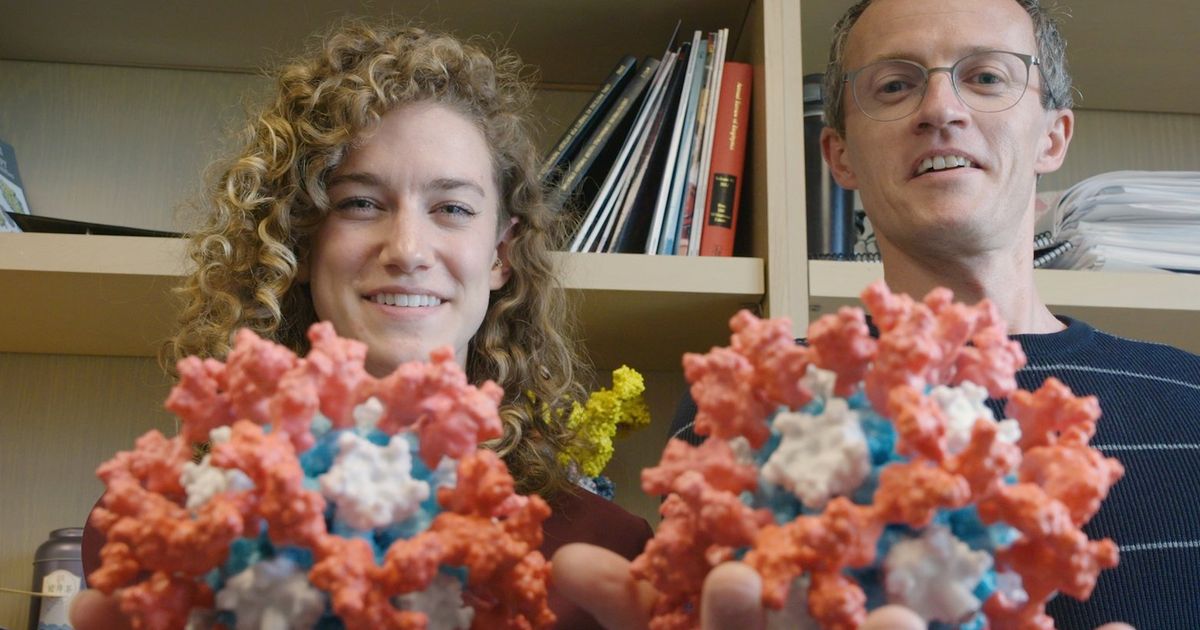 New COVID vaccine developed by UW scientists
