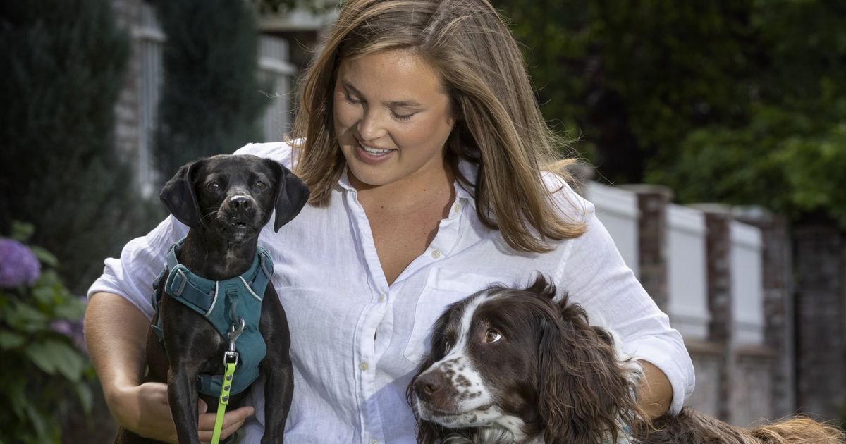 Mariners latest Bark in the Park event includes dogs available for adoption  (and belly rubs)