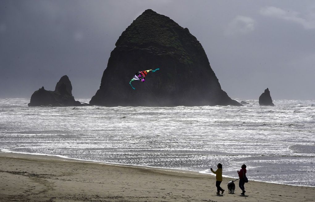 Perennial poop contamination near top Oregon coast attraction may end with this fix