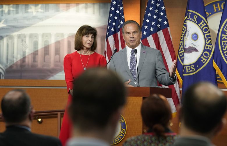 Rep. Kathy Manning, D-N.C., left, Rep. David Cicilline, D-R.I., right, speak during a news conference at the Capitol in Washington, Tuesday, July 19, 2022. (AP Photo/Mariam Zuhaib) DCMZ309 DCMZ309