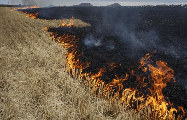 Grain fields burn, on the outskirts of Kurakhove, Donetsk Oblast, eastern Ukraine, Thursday, July 21, 2022. (AP Photo/Nariman El-Mofty) NM103 NM103