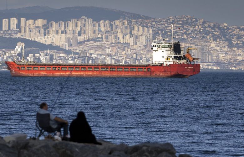 FILE – A family sit on a rock in front of a cargo ship anchors in the Marmara Sea awaits to access to cross the Bosphorus Straits in Istanbul, Turkey, on July 13, 2022. Turkish officials say a deal on a U.N. plan to unblock the exports of Ukrainian grain amid the war and to allow Russia to export grain and fertilizers will be signed Friday, July 22, 2022, in Istanbul. (AP Photo/Khalil Hamra, File) NBYAB401 NBYAB401
