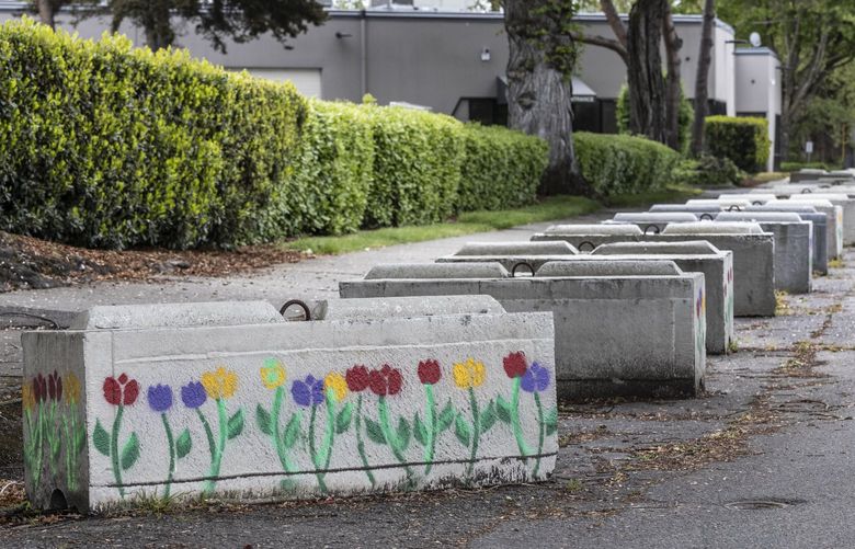 Friday, May. 20, 2022.   Concrete blocks on S. Homer Street are not beautiful but someone has given them a chance.    Homeless with RV’s are having a harder time finding places to park in Georgetown because people are taking back precious land with the blocks.   220084