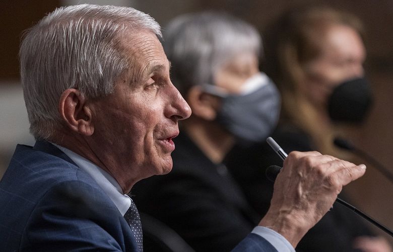 Dr. Anthony Fauci, Director of the National Institute of Allergy and Infectious Diseases, pictured on Capitol Hill on Jan. 11, 2022, in Washington, D.C. (Shawn Thew/Pool/Getty Images/TNS) 54277049W 54277049W