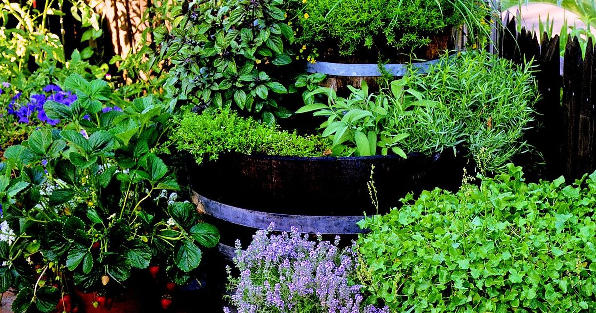 At a loss for how to use up your fresh herbs? Here’s some inspiration