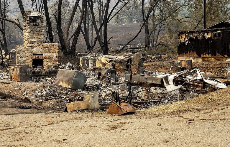 Timber walks past the remains of a lodge that burned in the McKinney Fire, Tuesday, Aug. 2, 2022, in Klamath National Forest, Calif. The property owner, whose adjacent home survived the blaze, was surveying damage. (AP Photo/Noah Berger) CANB102 CANB102