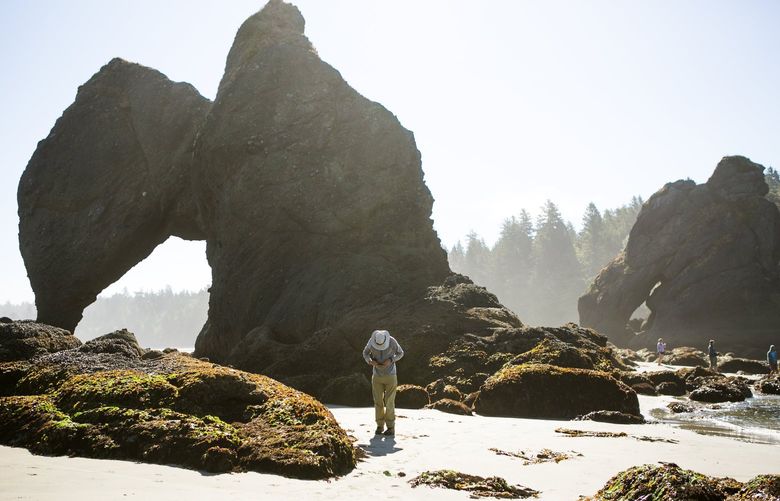 A photographer readies his camera for low tide at Point of the Arches at Shi Shi Beach on the Olympic Peninsula Saturday July 18, 2015.