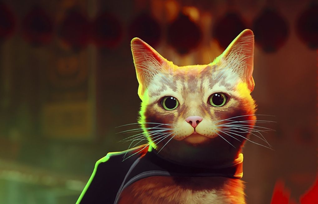 Stray: The 8 Best Cat Behaviors The Game Nailed