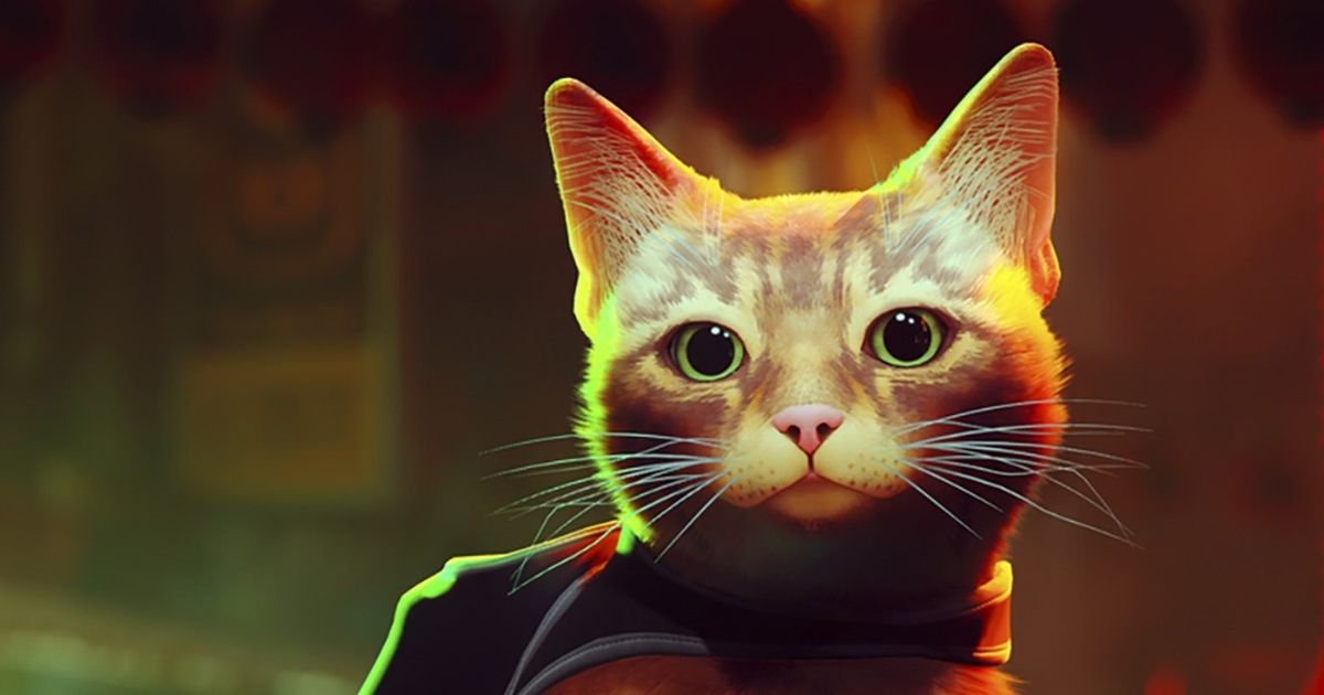 Stray, a video game with a feline hero, brings some benefits to real cats