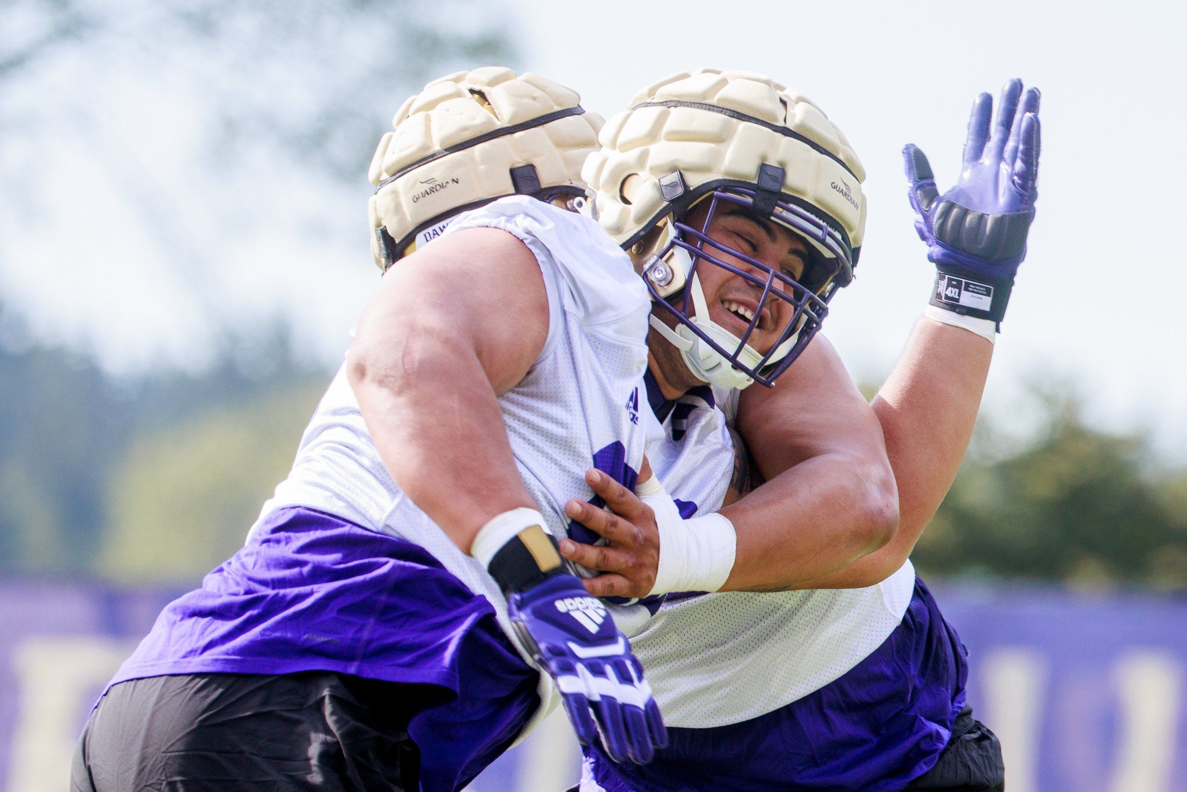 husky football gloves