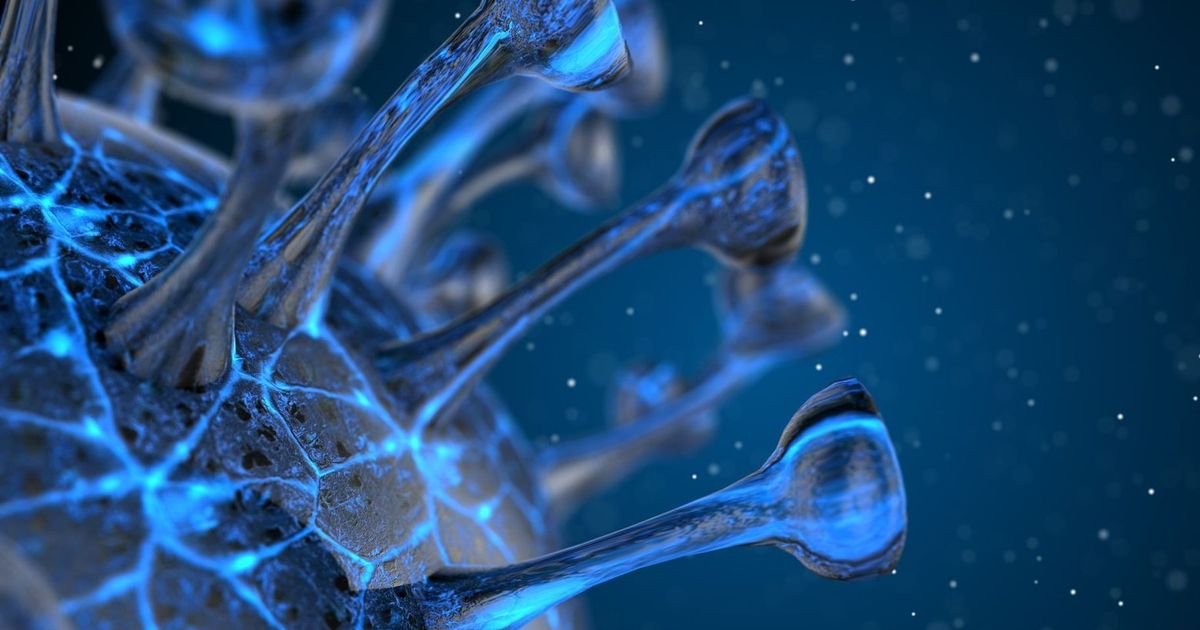 MIT researchers create test to predict COVID immunity; Harvard scientists develop test for both virus and antibodies MIT researchers create test to predict COVID immunity; Harvard scientists develop test for both virus and antibodies
