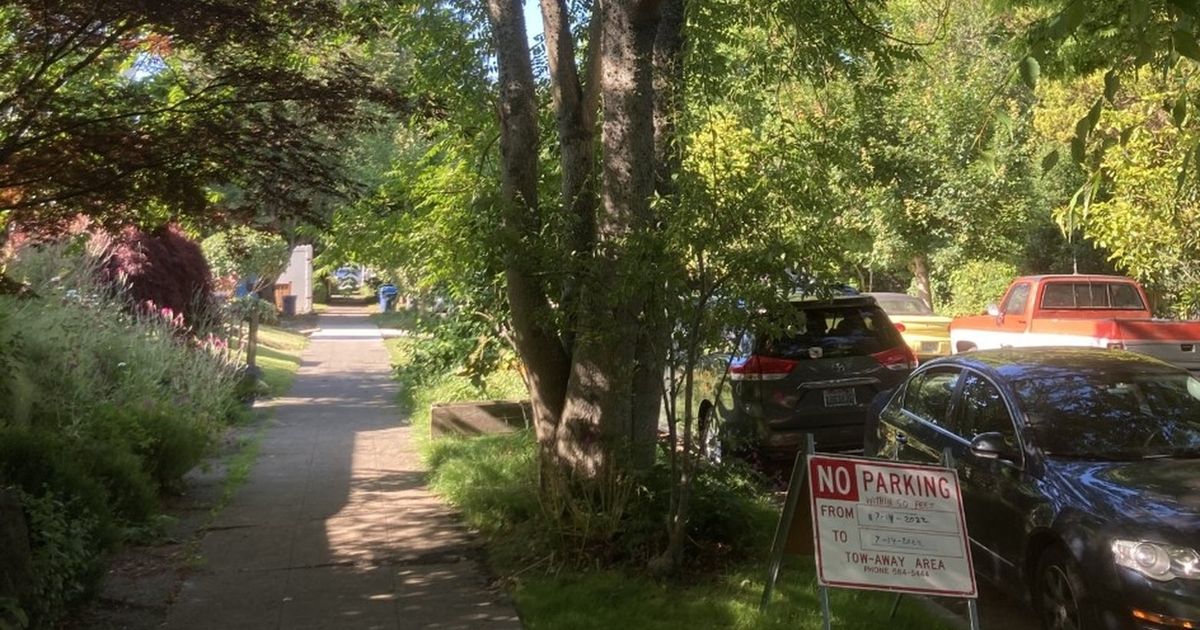 You might be responsible for a Seattle street tree and not know it