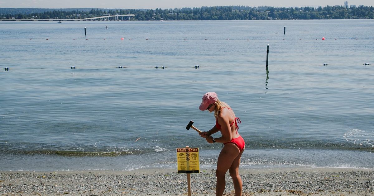 Check water quality of King County beaches using this interactive map