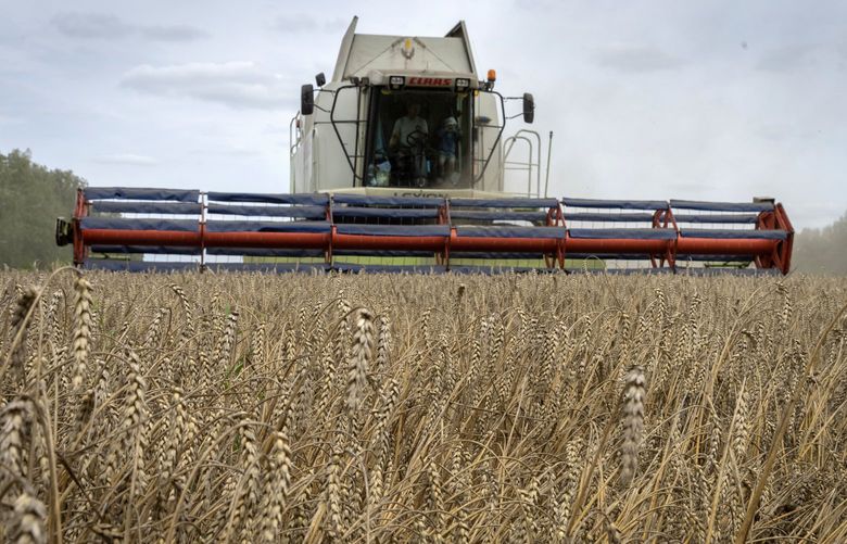 FILE – A harvester collects wheat in the village of Zghurivka, Ukraine, Tuesday, Aug. 9, 2022. A ship approached Ukraine on Friday, Aug. 12, 2022, to pick up wheat for hungry people in Ethiopia, in the first food delivery to Africa under a U.N.-brokered plan to unblock grain trapped by Russiaâ€™s war and bring relief to some of the millions worldwide on the brink of starvation.   (AP Photo/Efrem Lukatsky, File) NY802 NY802
