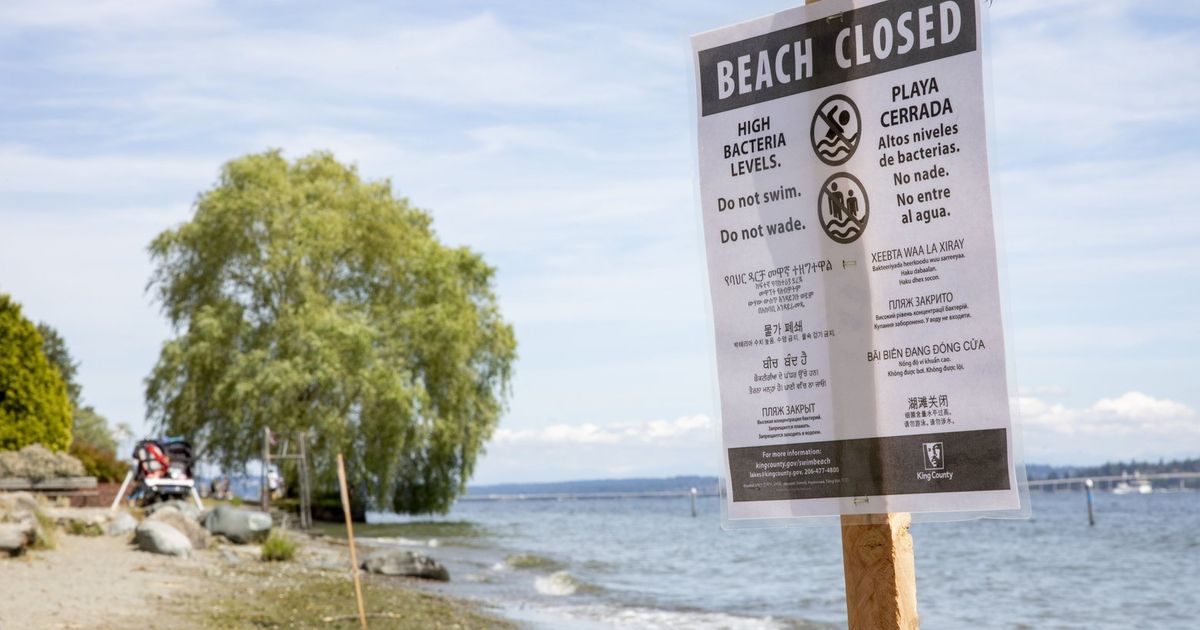 Bacteria in water closes several Seattle-area beaches
