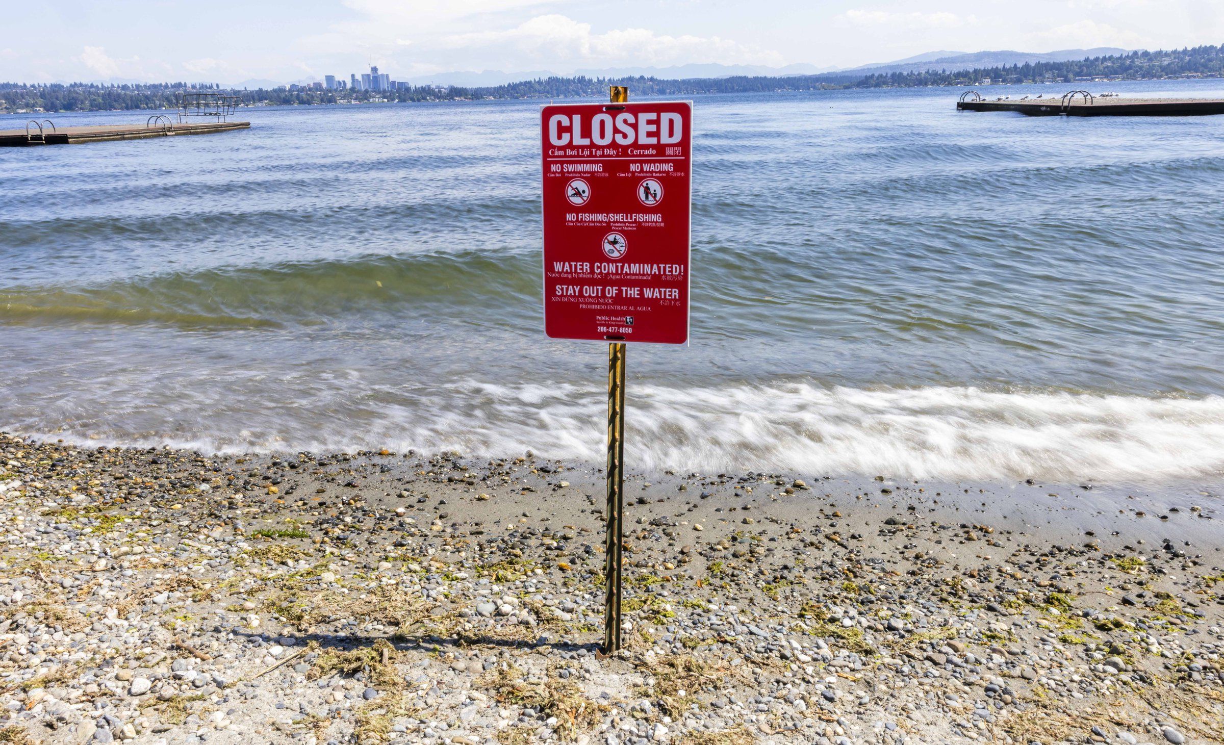 2 Lake Washington beaches closed after sewage spill The Seattle