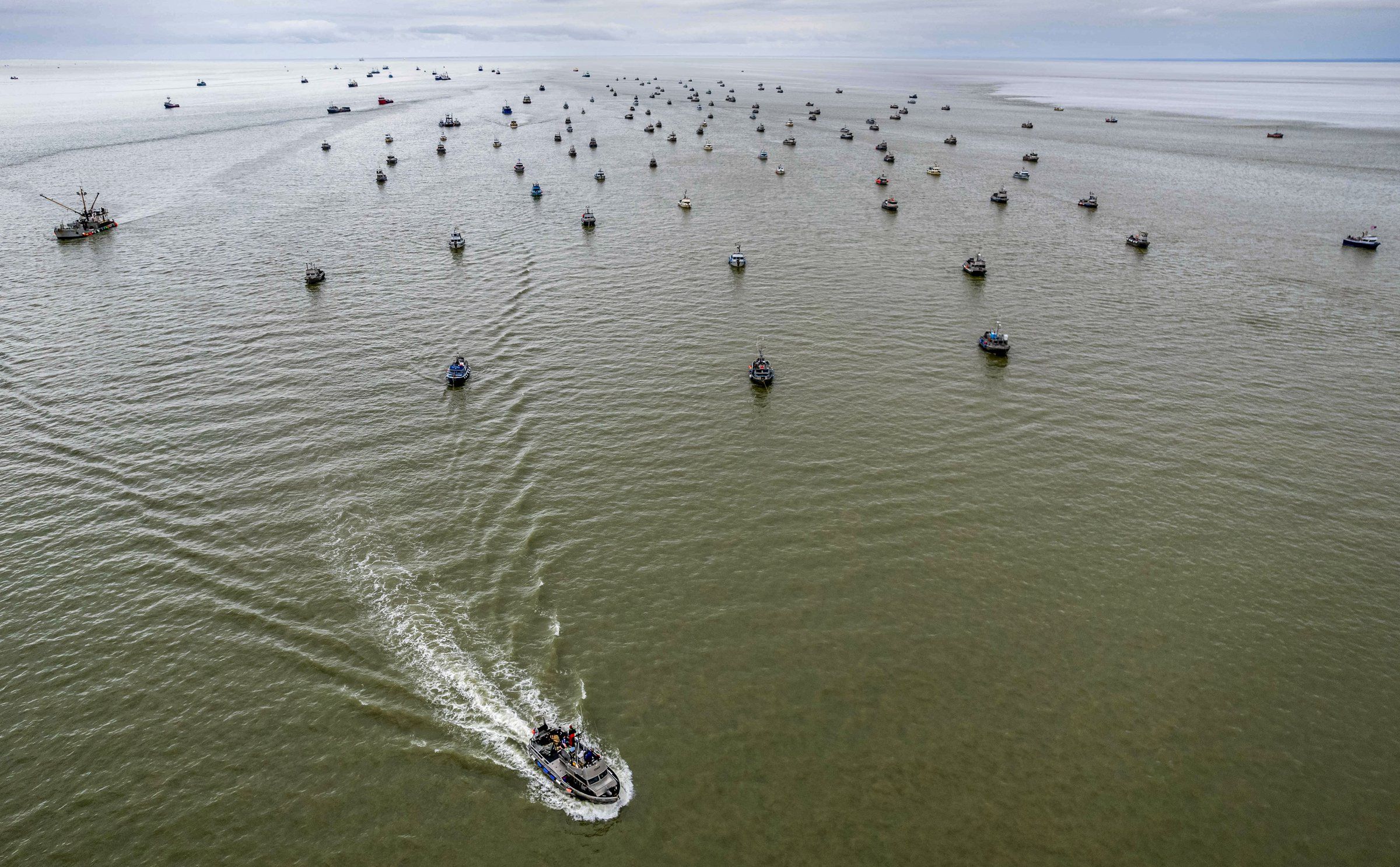 In a warming sea, why does the world's biggest sockeye run keep
