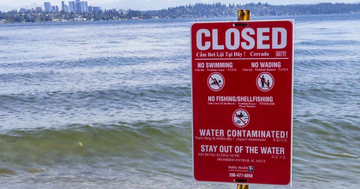 2 Lake Washington beaches closed after sewage spill The Seattle Times