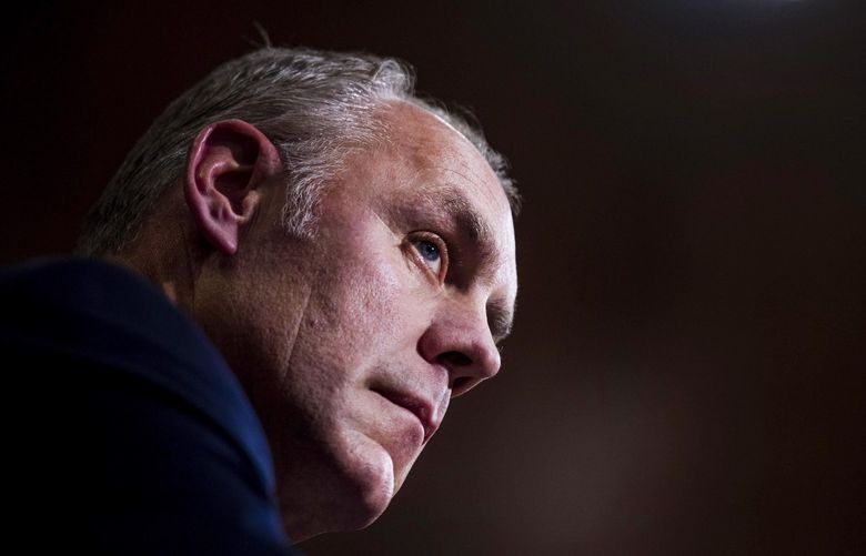 WIn this Jan. 17, 2017, photo, President-elect Donald Trump’s nominee for interior secretary, Rep. Ryan Zinke, R-Mont., appears before the Senate Committee on Energy and Natural Resources. MUST CREDIT: Washington Post photo by Melina Mara.