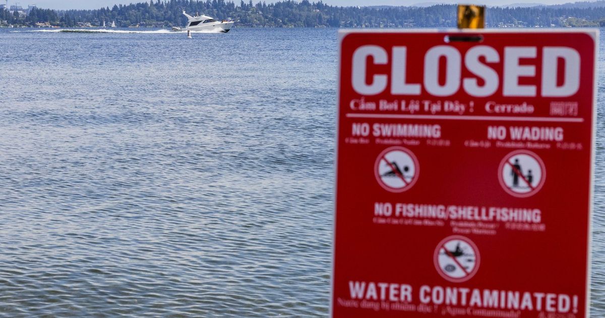 Lake Washington beaches reopen after sewage spill The Seattle Times