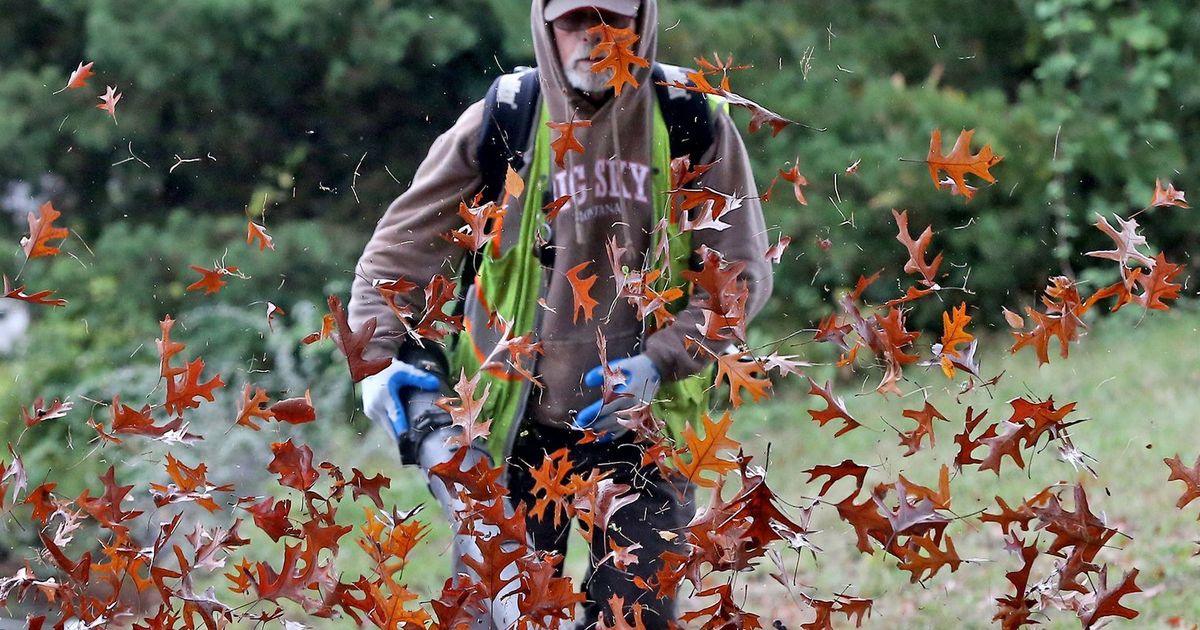 Leaf blowers Gas vs. electric shouldn’t pit people vs. people The