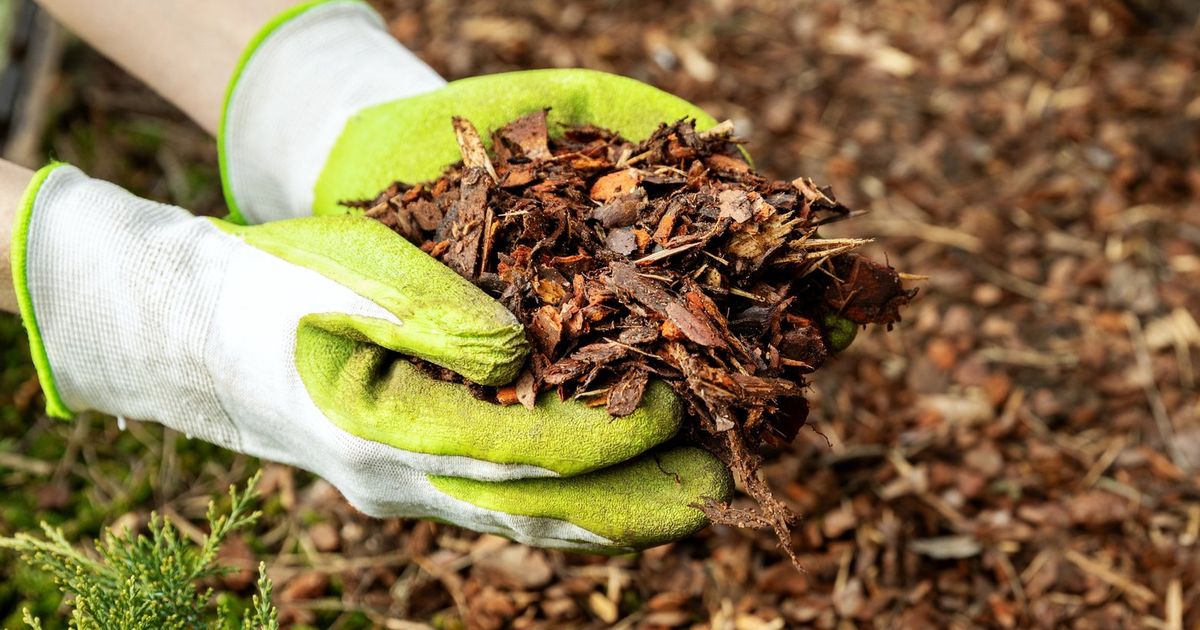 Pro tips for mulching your perfect Pacific Northwest garden