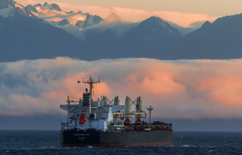 The vessel Alexandra KPN, a bulk carrier, sails past the Olympic Mountains on the Strait of Juan de Fuca Friday, Aug. 26, 2022.
LO